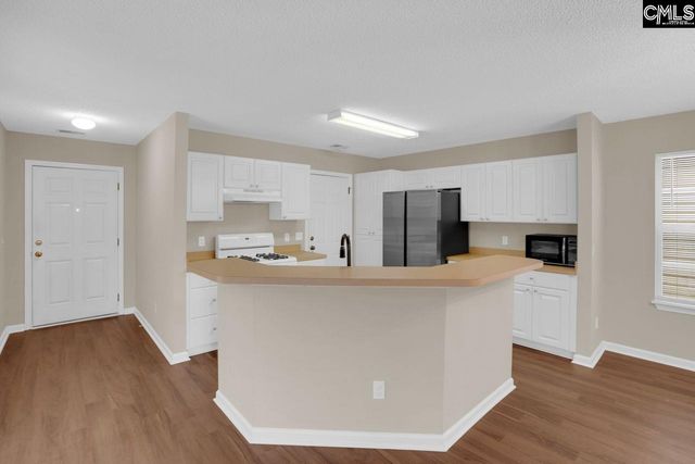 115 Merowey Court, Chapin, SC 29036