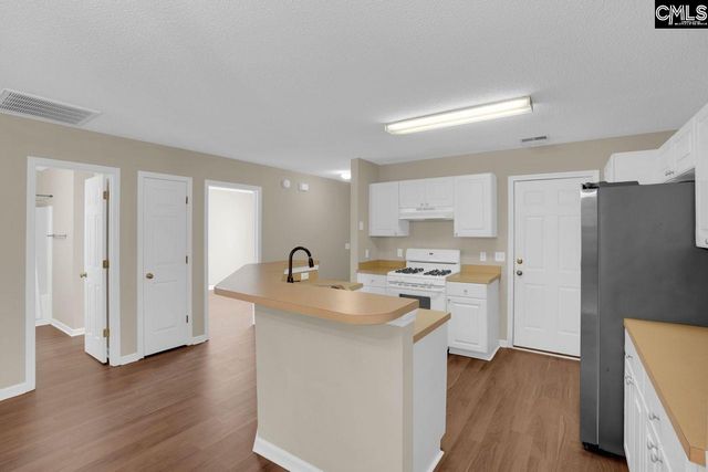 115 Merowey Court, Chapin, SC 29036