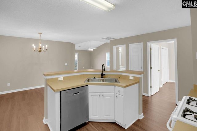 115 Merowey Court, Chapin, SC 29036