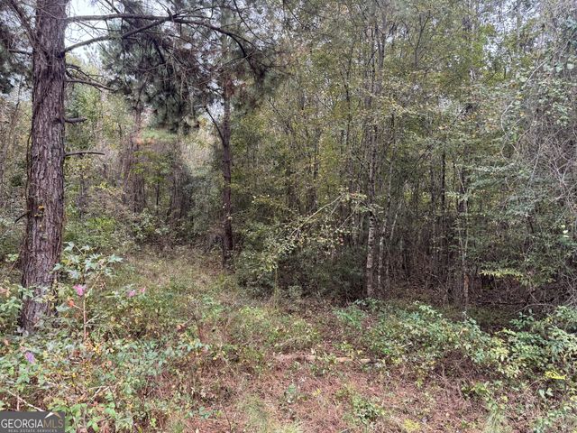 0 Sand Hammock Road, Hawkinsville, GA 31036