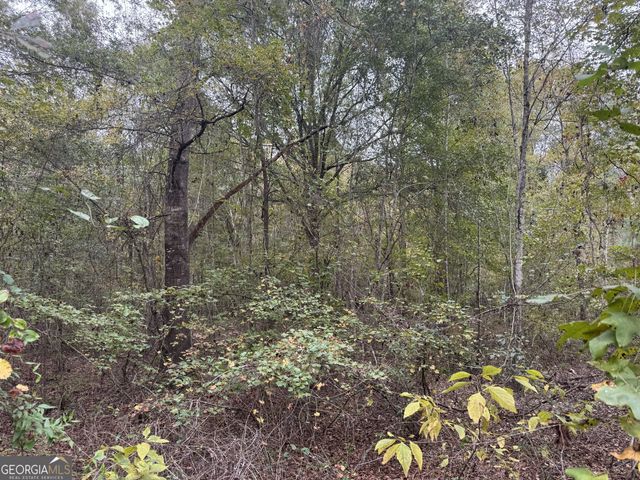 0 Sand Hammock Road, Hawkinsville, GA 31036