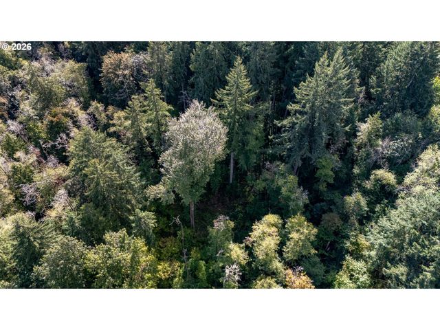 0 Nw Mcnamee Rd, Portland, OR 97231