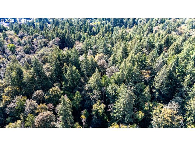 0 Nw Mcnamee Rd, Portland, OR 97231
