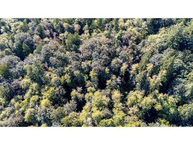 0 Nw Mcnamee Rd, Portland, OR 97231