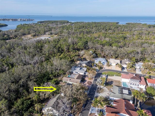 55 GULFWINDS DRIVE, Palm Harbor, FL 34683