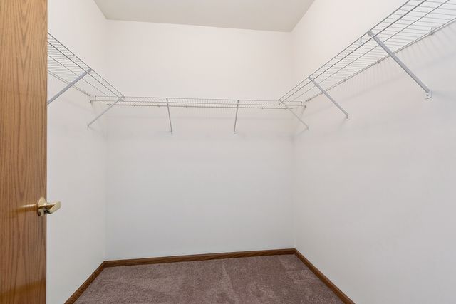 5311 W Mint Julip Drive 301, Alsip, IL 60803