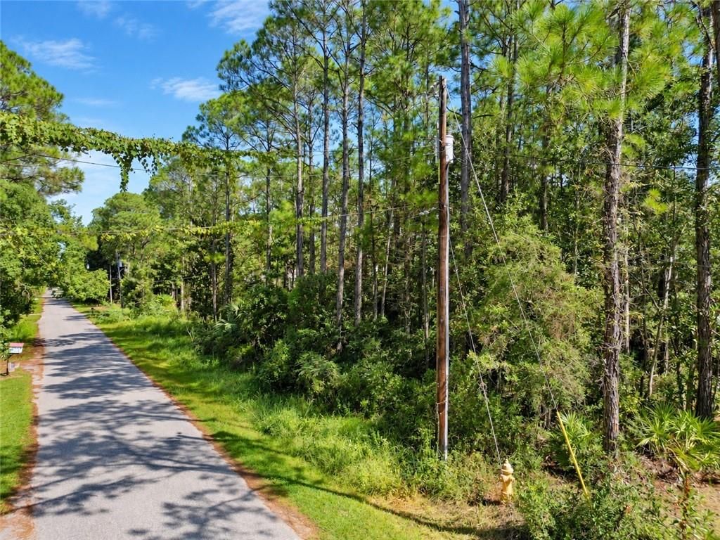 309 Chenault Avenue, Dauphin Island, AL 36528 — photo 3