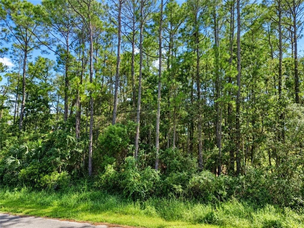 309 Chenault Avenue, Dauphin Island, AL 36528 — photo 4