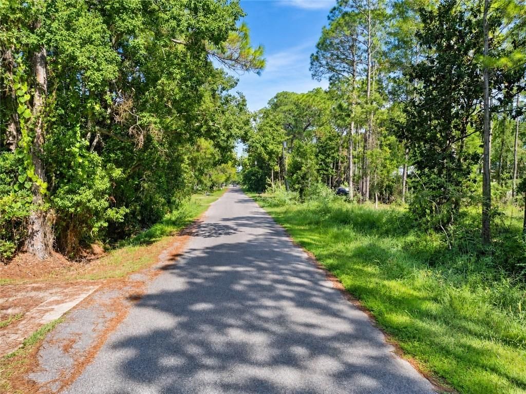 309 Chenault Avenue, Dauphin Island, AL 36528 — photo 5