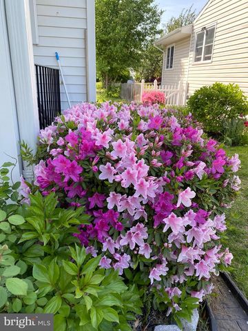 1420 ROWE DR, Glen Burnie, MD 21061