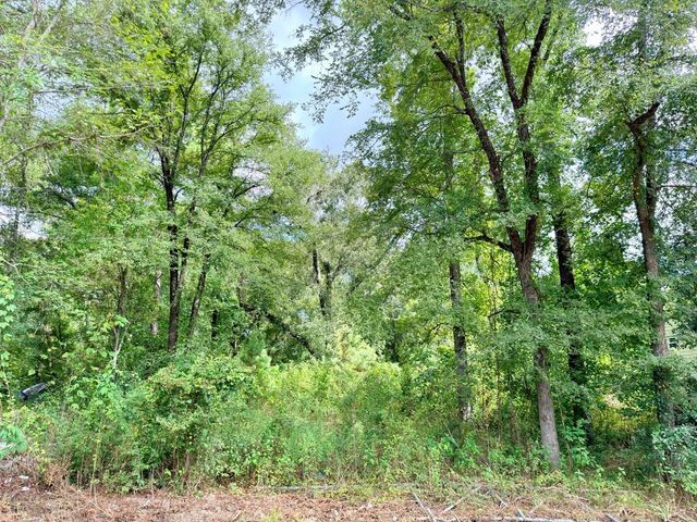 10839 River Dr, Houston, TX 77385