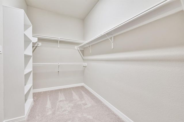 8211 Chartres Wind Drive, Magnolia, TX 77354