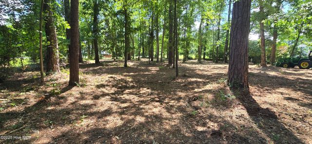 Lot 1 Swan Point Road, Washington, NC 27889