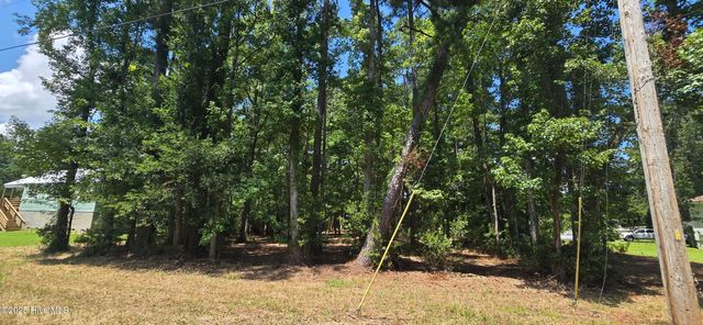 Lot 1 Swan Point Road, Washington, NC 27889