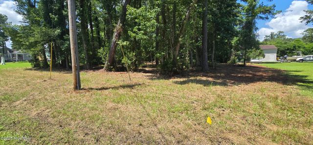 Lot 1 Swan Point Road, Washington, NC 27889