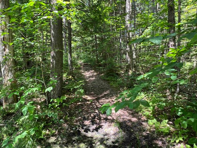 42 Bills Road, Stratton, VT 05360