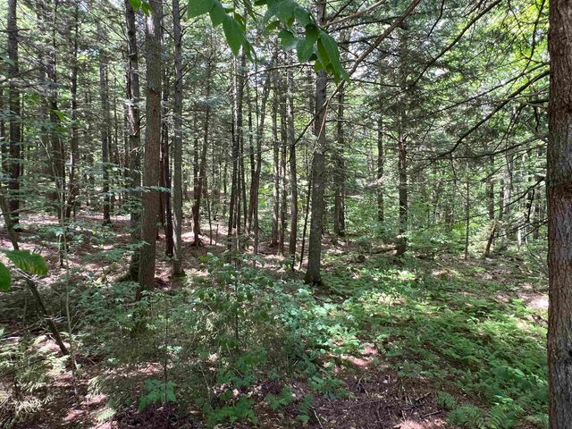 42 Bills Road, Stratton, VT 05360