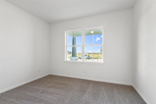 2718 Ruby Laurel Drive, Iowa Colony, TX 77583