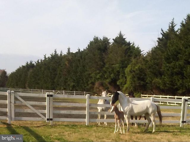 14135 COOLEY RD, Princess Anne, MD 21853