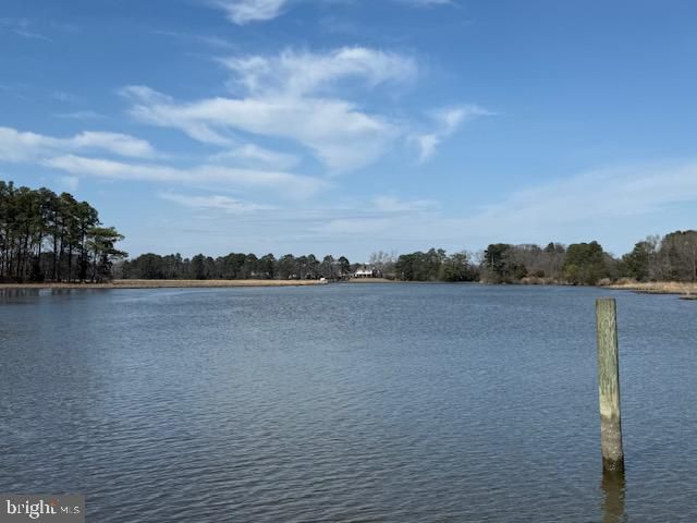 14135 COOLEY RD, Princess Anne, MD 21853