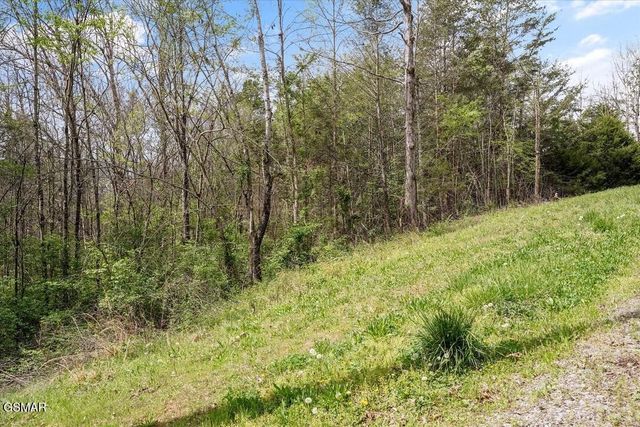 1433 Timber Trail, Newport, TN 37821