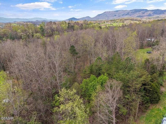 1433 Timber Trail, Newport, TN 37821