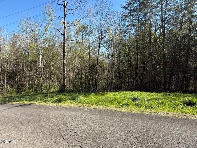 1433 Timber Trail, Newport, TN 37821