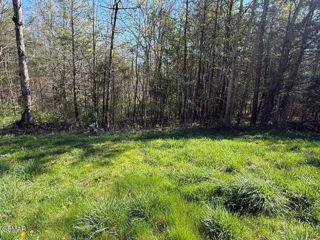 1433 Timber Trail, Newport, TN 37821