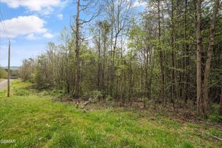 1433 Timber Trail, Newport, TN 37821
