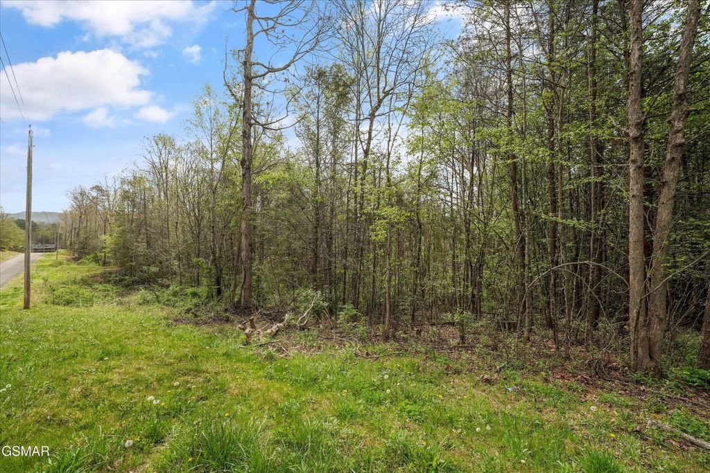 1433 Timber Trail, Newport, TN 37821