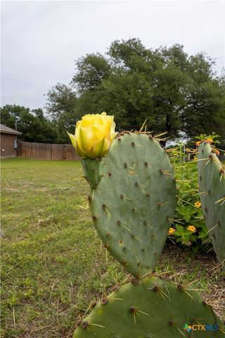 301 Sunrise Hills, Lampasas, TX 76550