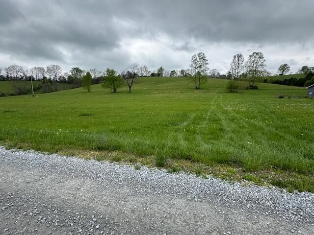 0 MCconnell Road, Mt Olivet, KY 41064