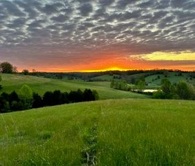 0 MCconnell Road, Mt Olivet, KY 41064