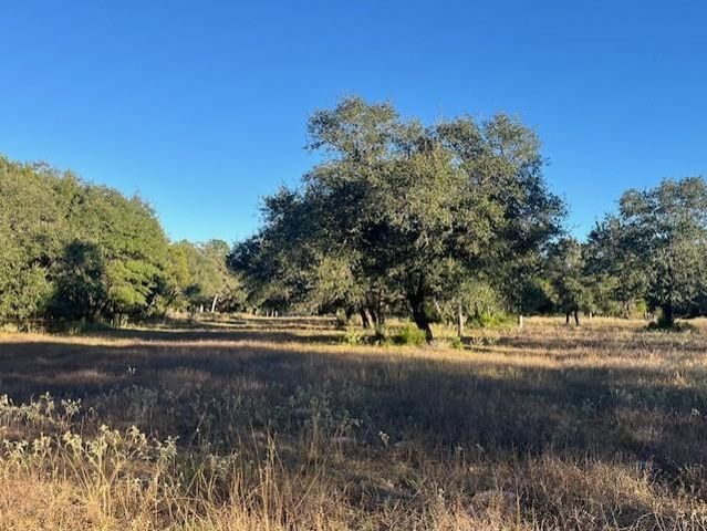 1311-A Alleyton Road, Columbus, TX 78934