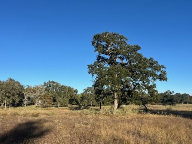 1311-A Alleyton Road, Columbus, TX 78934