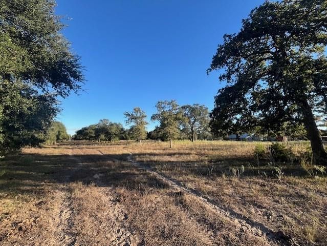 1311-A Alleyton Road, Columbus, TX 78934