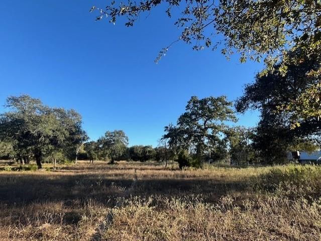 1311-A Alleyton Road, Columbus, TX 78934