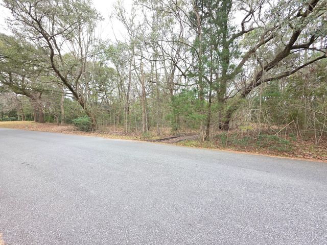 0 Timber Race Course, Hollywood, SC 29449