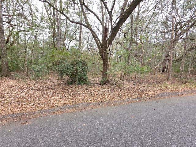 0 Timber Race Course, Hollywood, SC 29449