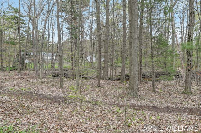6801 Wildwood Drive, Port Sheldon Twp, MI 49460