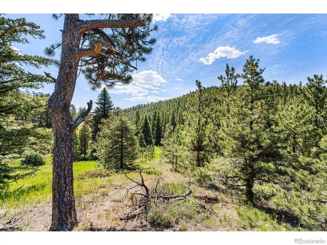 1213 Primos Road, Boulder, CO 80302