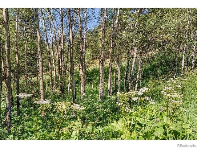 1213 Primos Road, Boulder, CO 80302