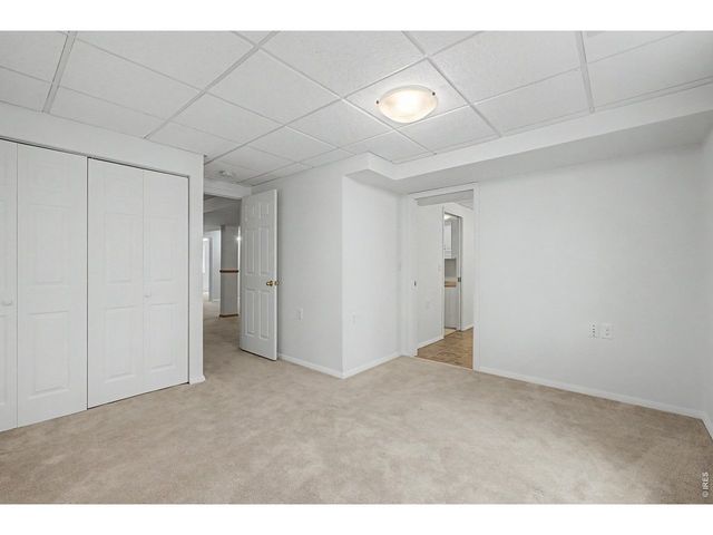 1002 Teton Ct, Windsor, CO 80550