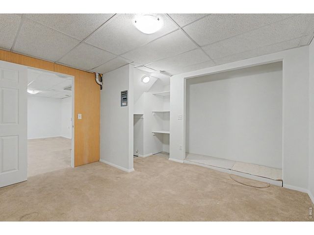 1002 Teton Ct, Windsor, CO 80550