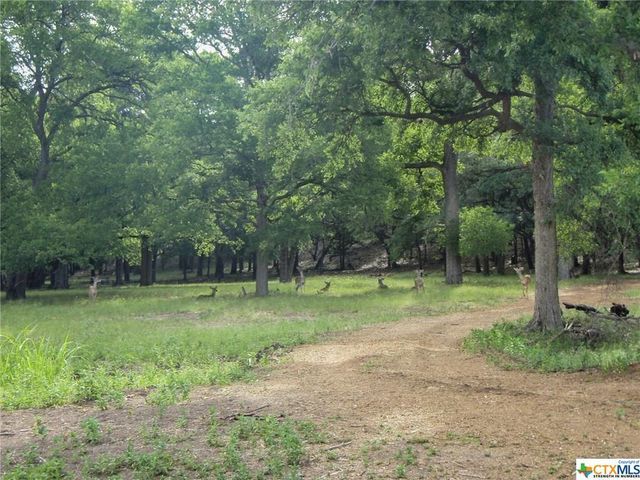 636 Angelica VIS, Canyon Lake, TX 78133