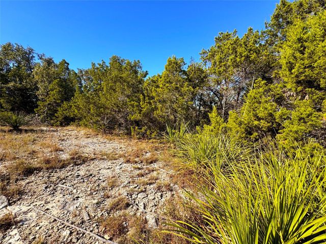 636 Angelica VIS, Canyon Lake, TX 78133