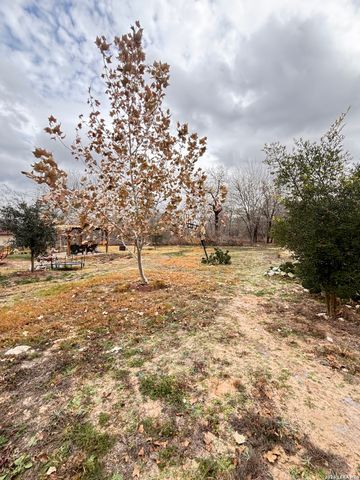 23038 Grand Spring Dr, Elmendorf, TX 78112