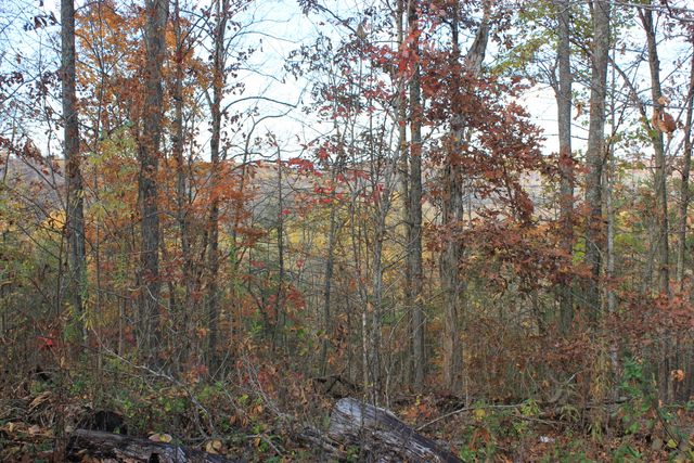 63 Cove Branch Road, Orlando, KY 40460