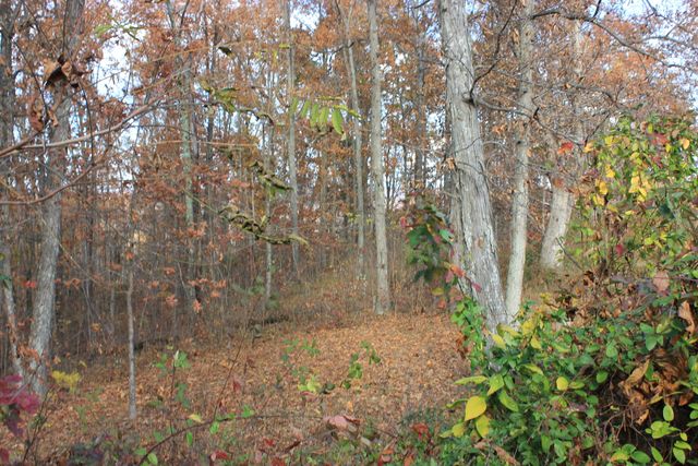 63 Cove Branch Road, Orlando, KY 40460