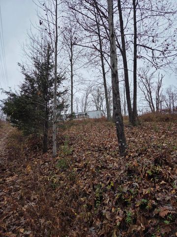 63 Cove Branch Road, Orlando, KY 40460